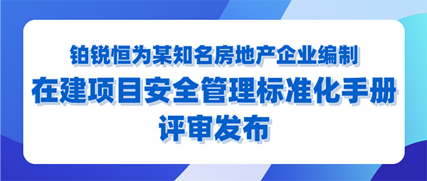 安全信息化,安全信息化系统