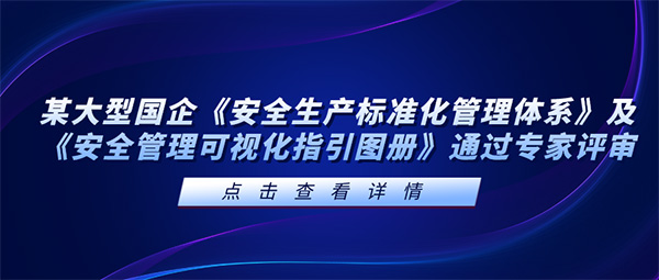 安全信息化,安全信息化系统